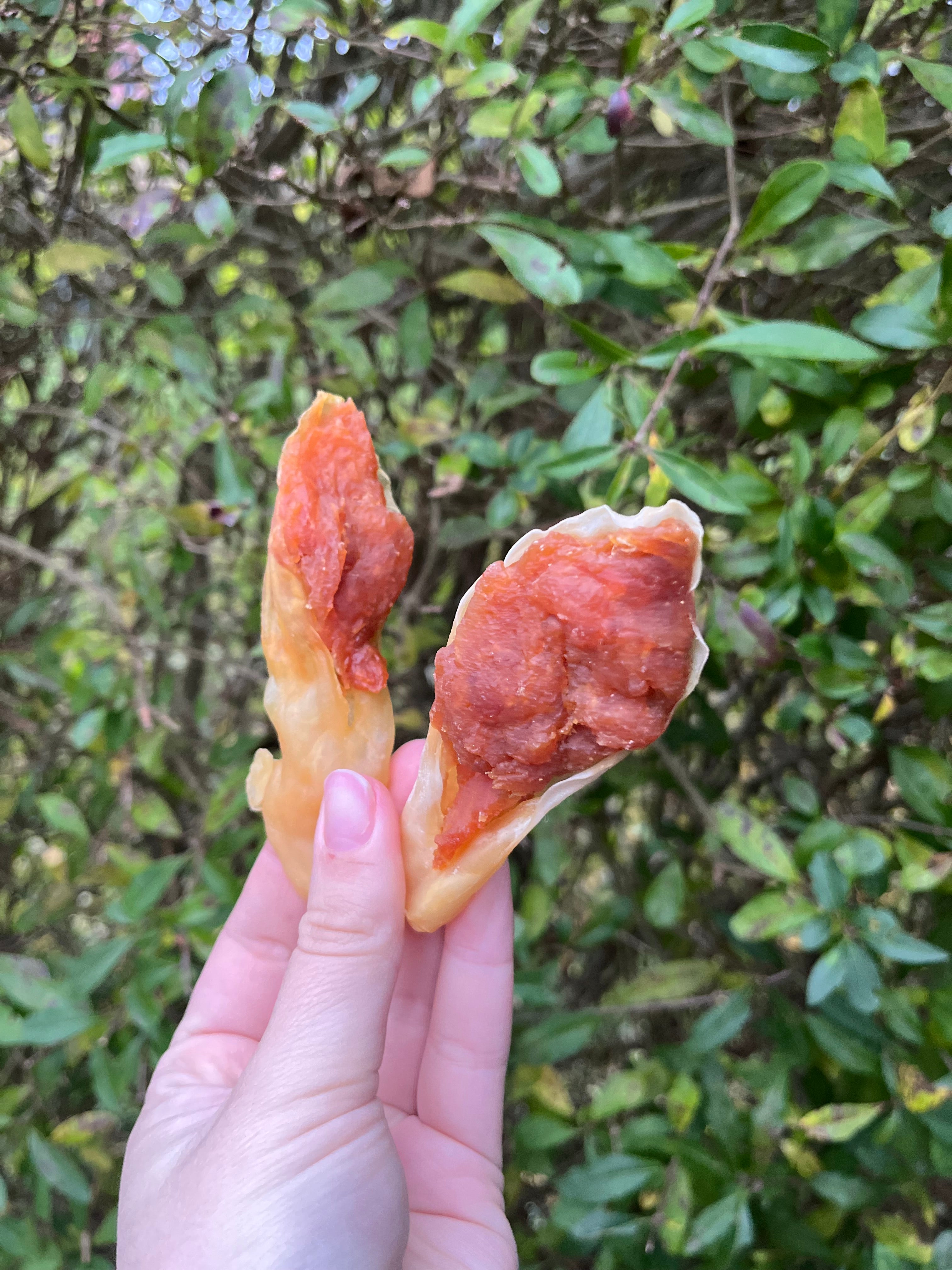 Trixie kaninører med kylling