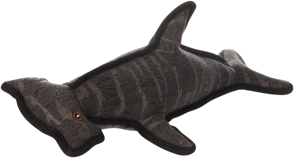 Flamingo Grå hammerhaj