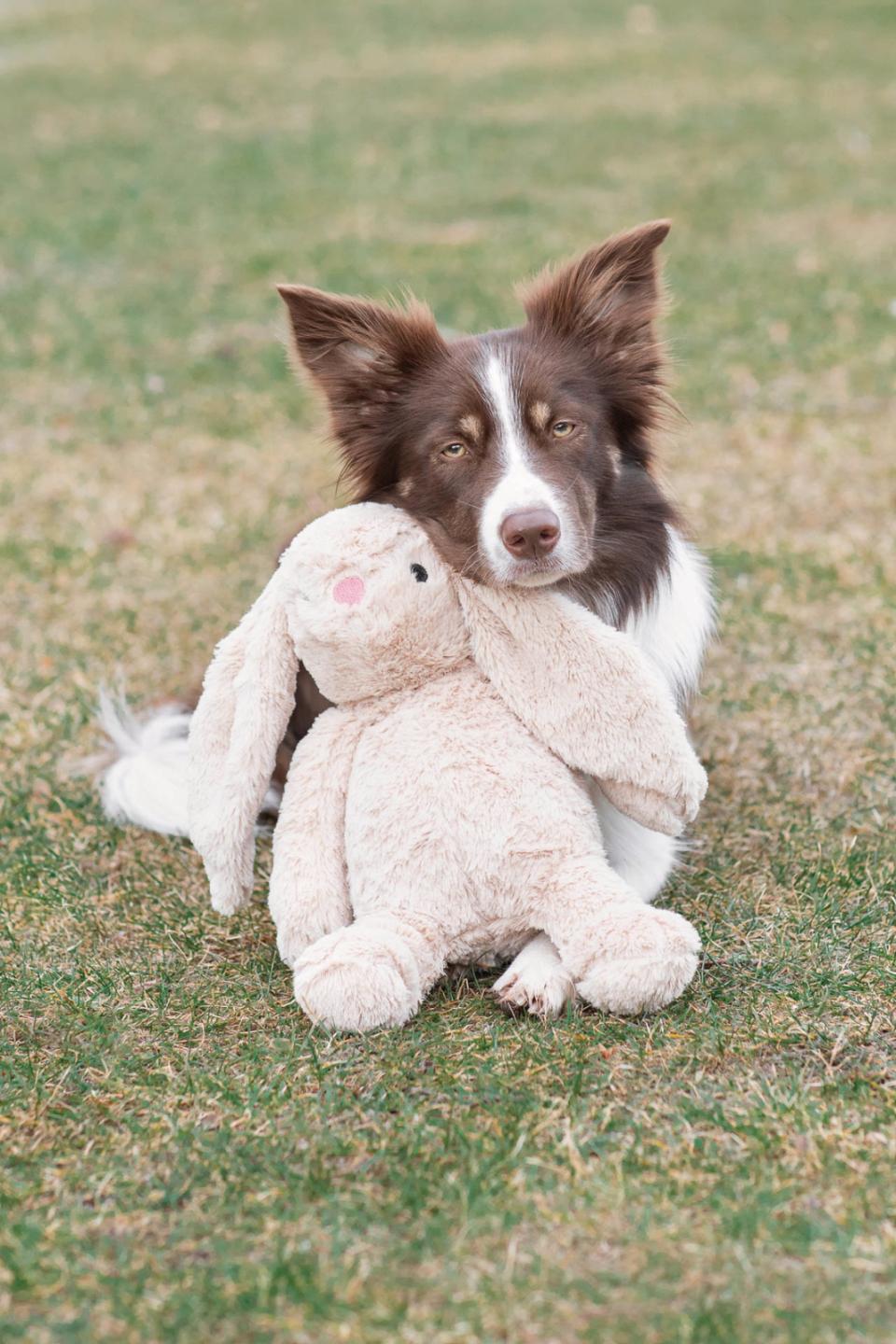 Trixie Kanin, plys med lyd