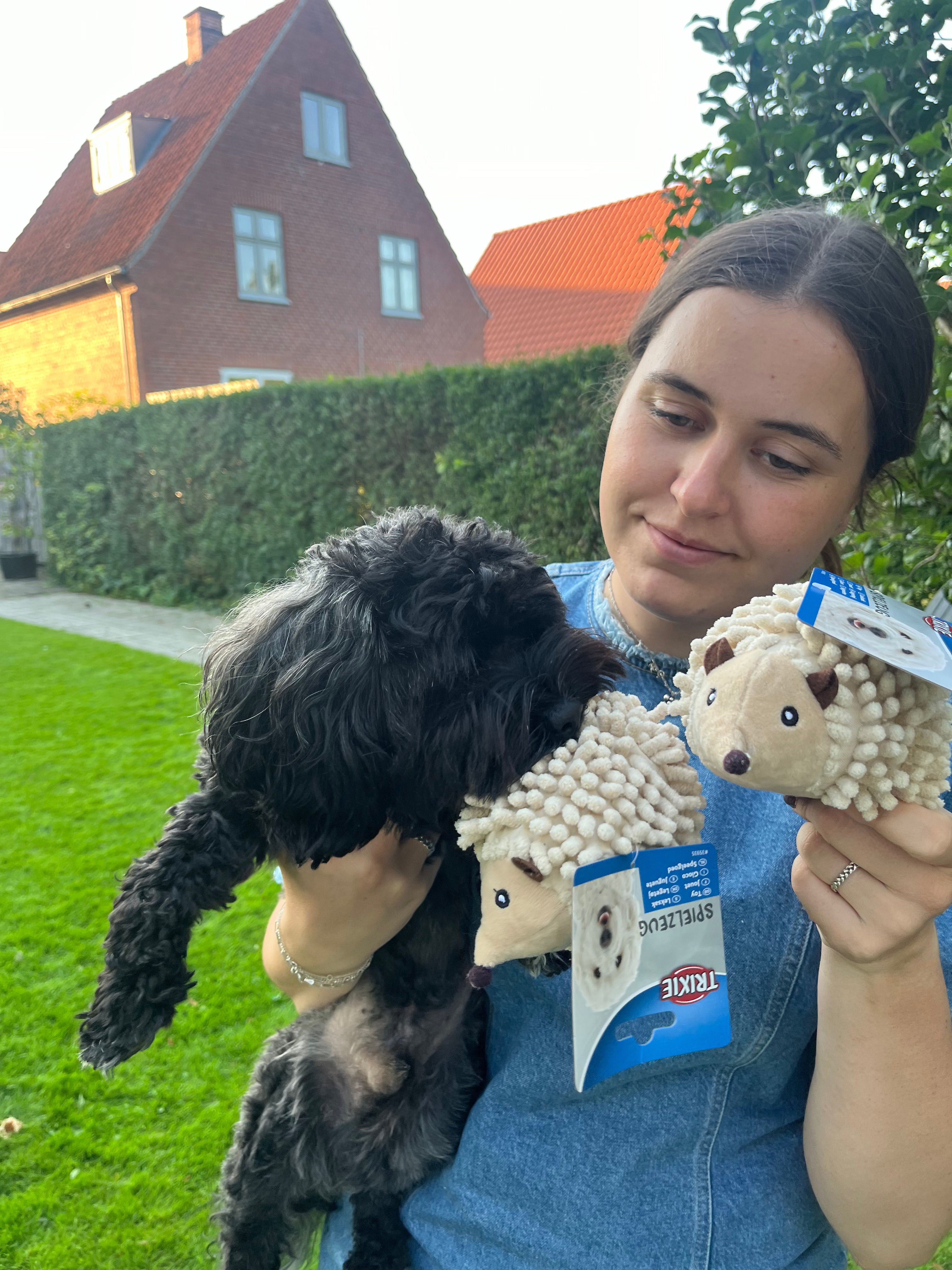 Trixie Pindsvin, plys, 12 cm