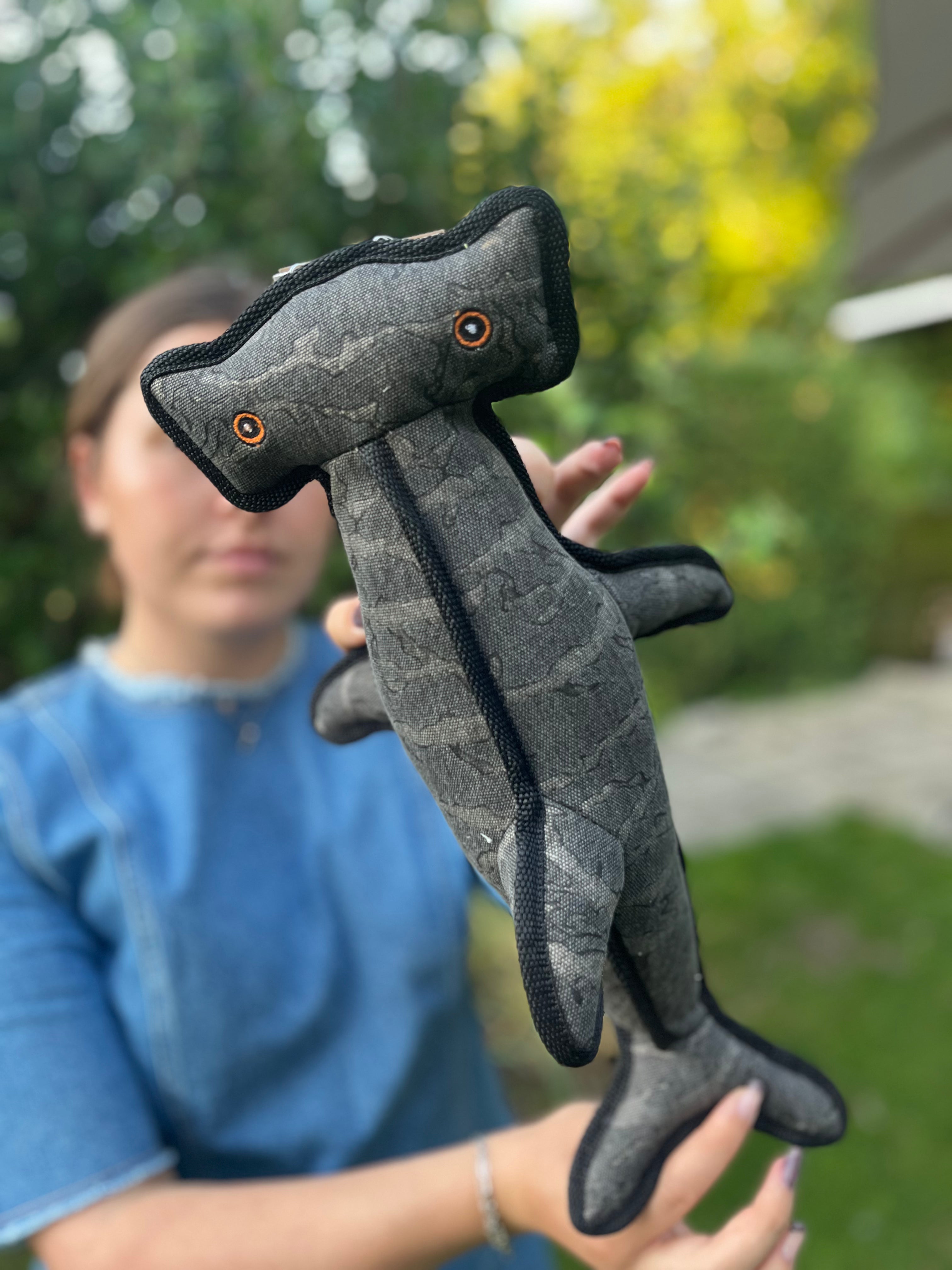 Flamingo Grå hammerhaj