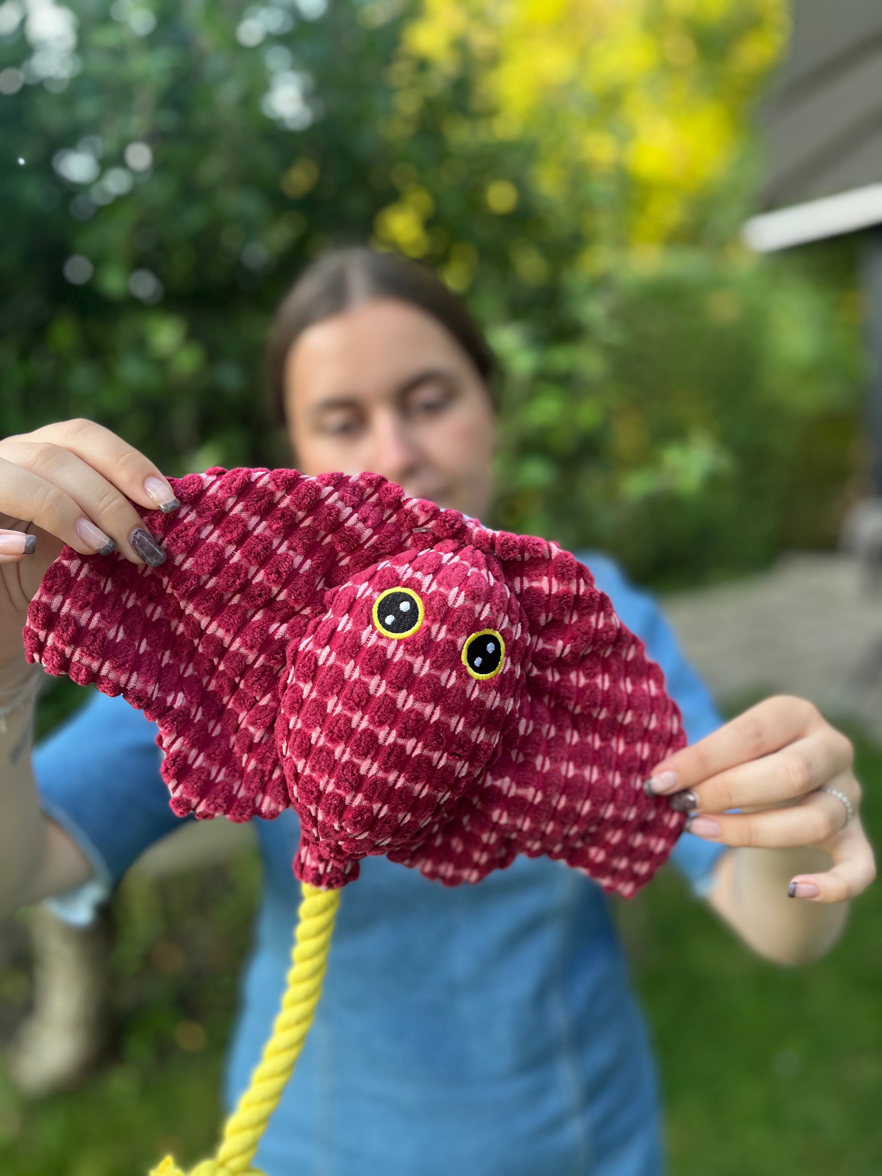 Flamingo Mørkerød stingray