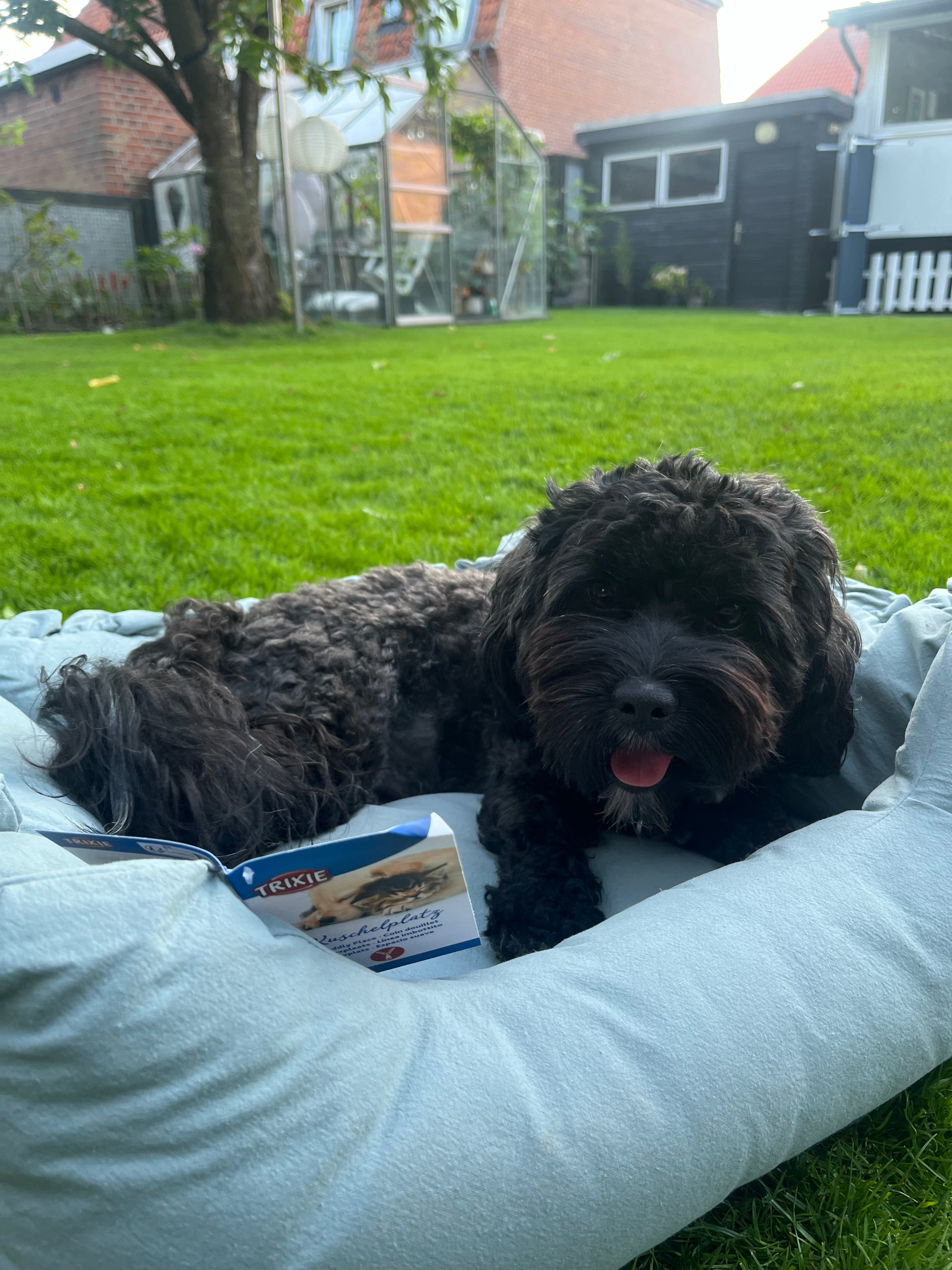 Trixie Amelie firkantet hundeseng