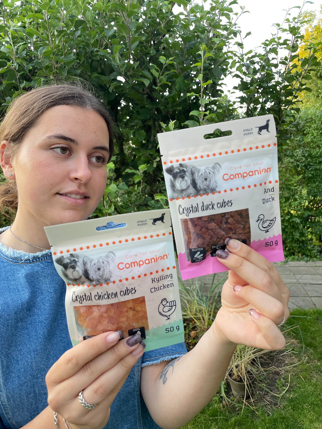 Companion Crystal Chicken Cubes for Puppy, 50g