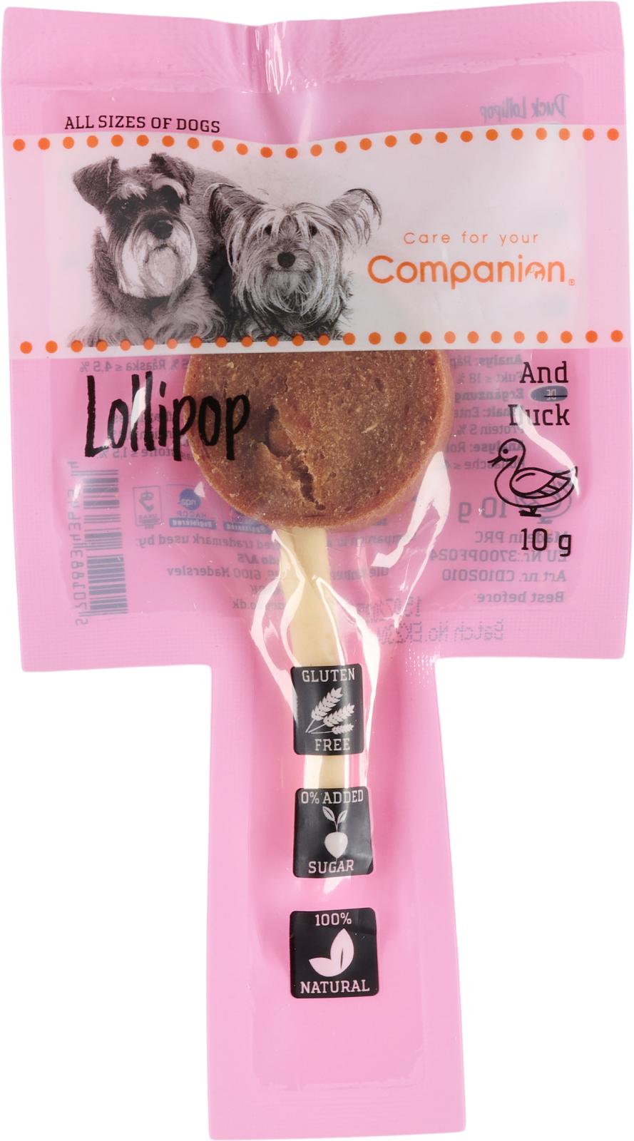 Companion Lollipop - and