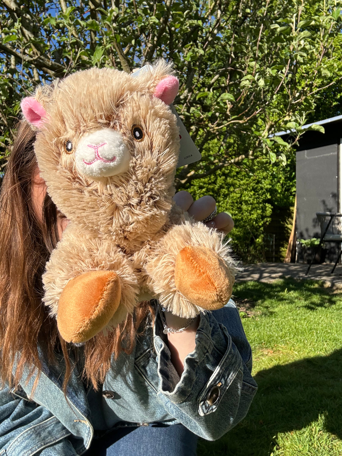 Alpaca Arne