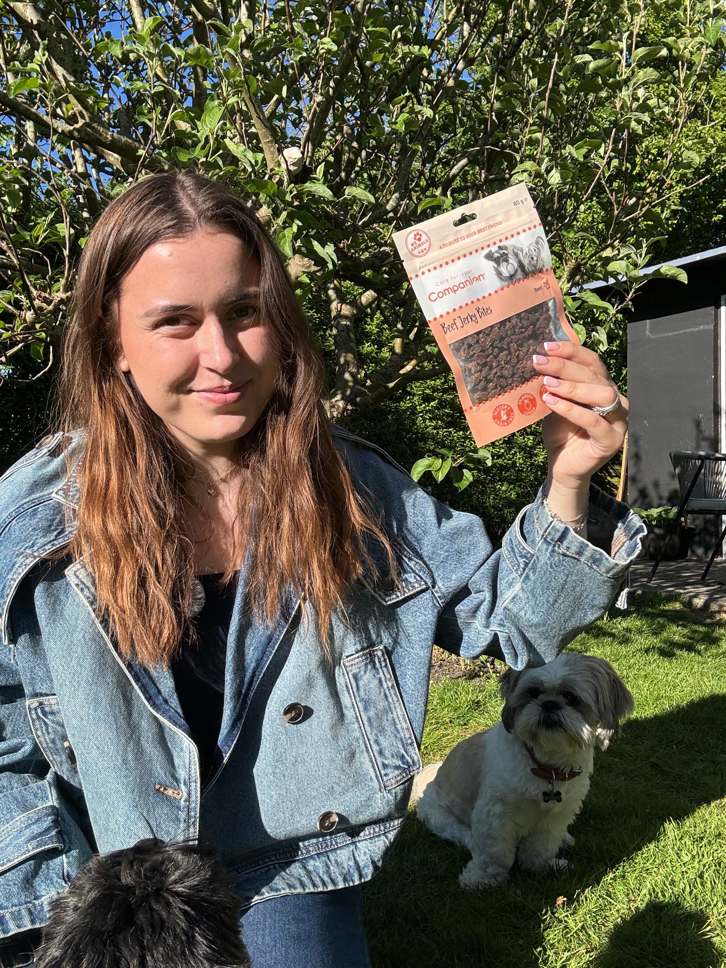 Companion Beef jerky bites 80g.