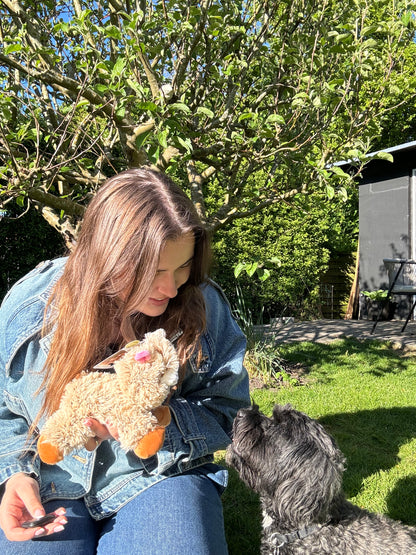 Alpaca Arne