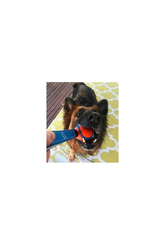Chuckit Ultra Tug small