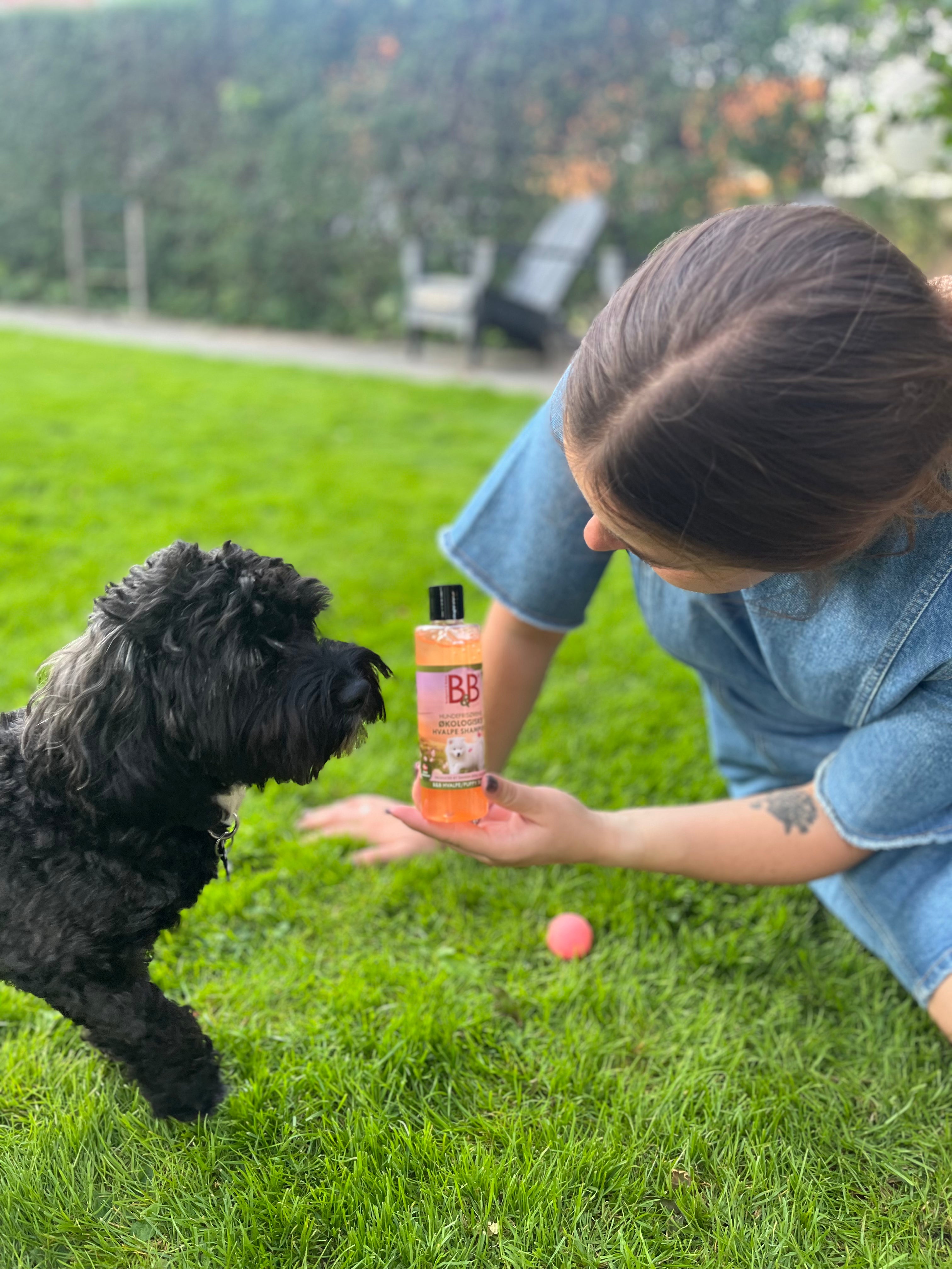B&amp;B Økologisk Puppy Shampoo 250 ml
