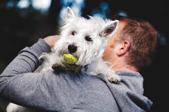 Kong Air Squeaker Tennis bold str. M 3 pak.