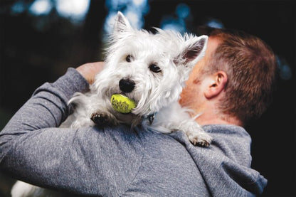 Kong Air Squeaker Tennis bold str. M 3 pak.