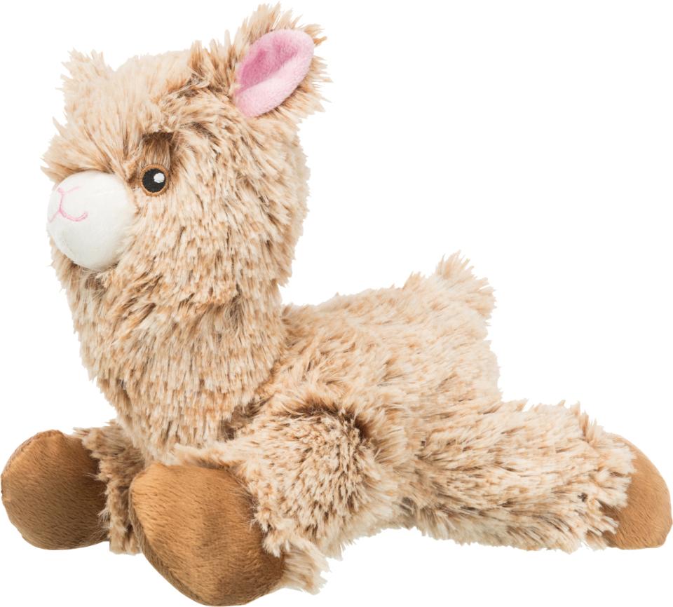 Alpaca Arne